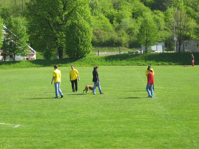 www.atibox.net * www.euroboxer.eu * www.boxergenealogia.eu